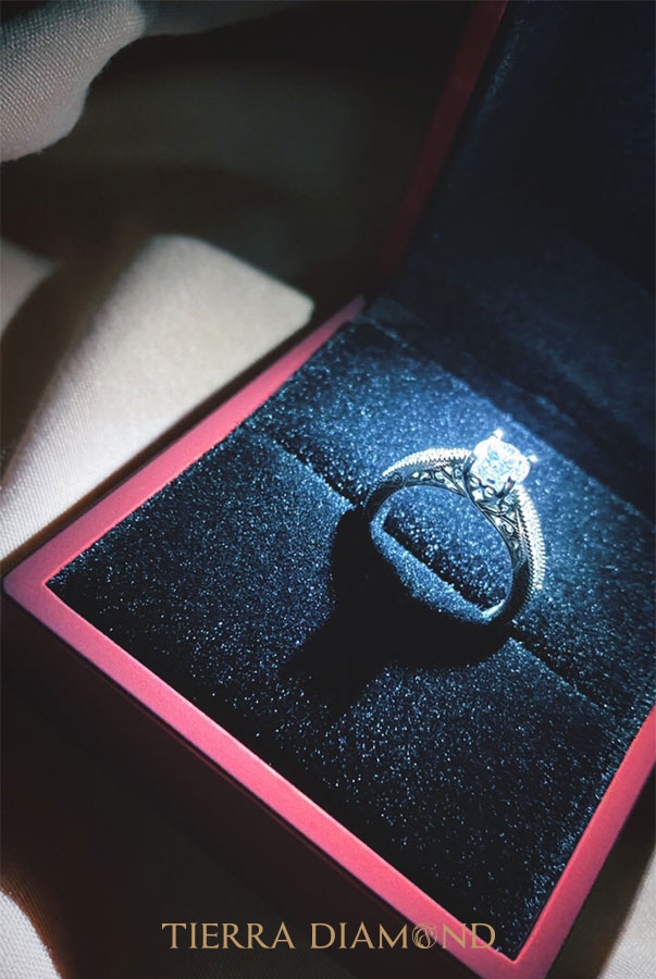 Nhẫn kim cương Cathedral - Sự cổ điển ngọt ngào, vẻ đẹp của nghệ thuật Châu Âu.jpg